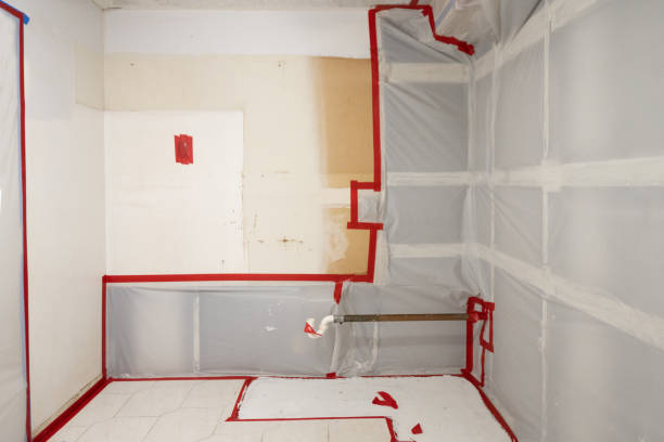 Best Air Quality Testing for Mold Spores  in Afton, WY
