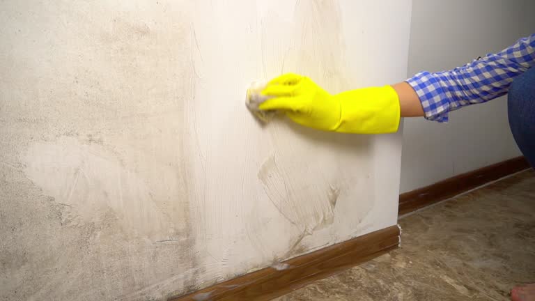 Best Post-Remediation Verification Testing  in Afton, WY