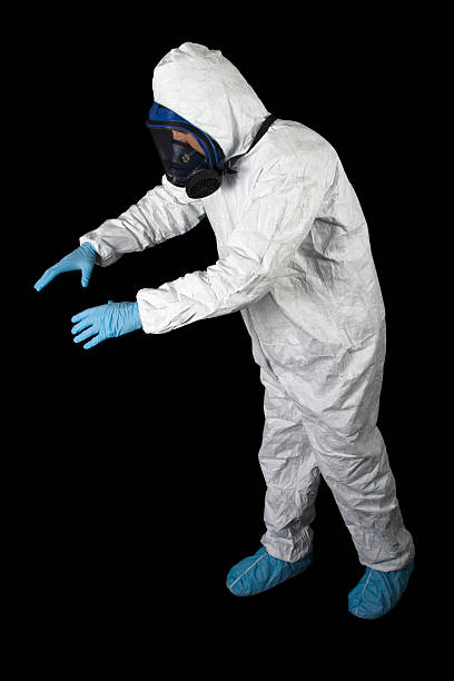Reliable Afton, WY Mold Removal Solutions