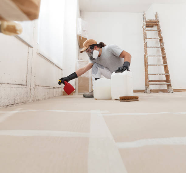 Forensic Mold Investigation in Afton, WY