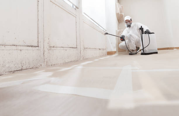 Mold Removal for HVAC Installations in Afton, WY